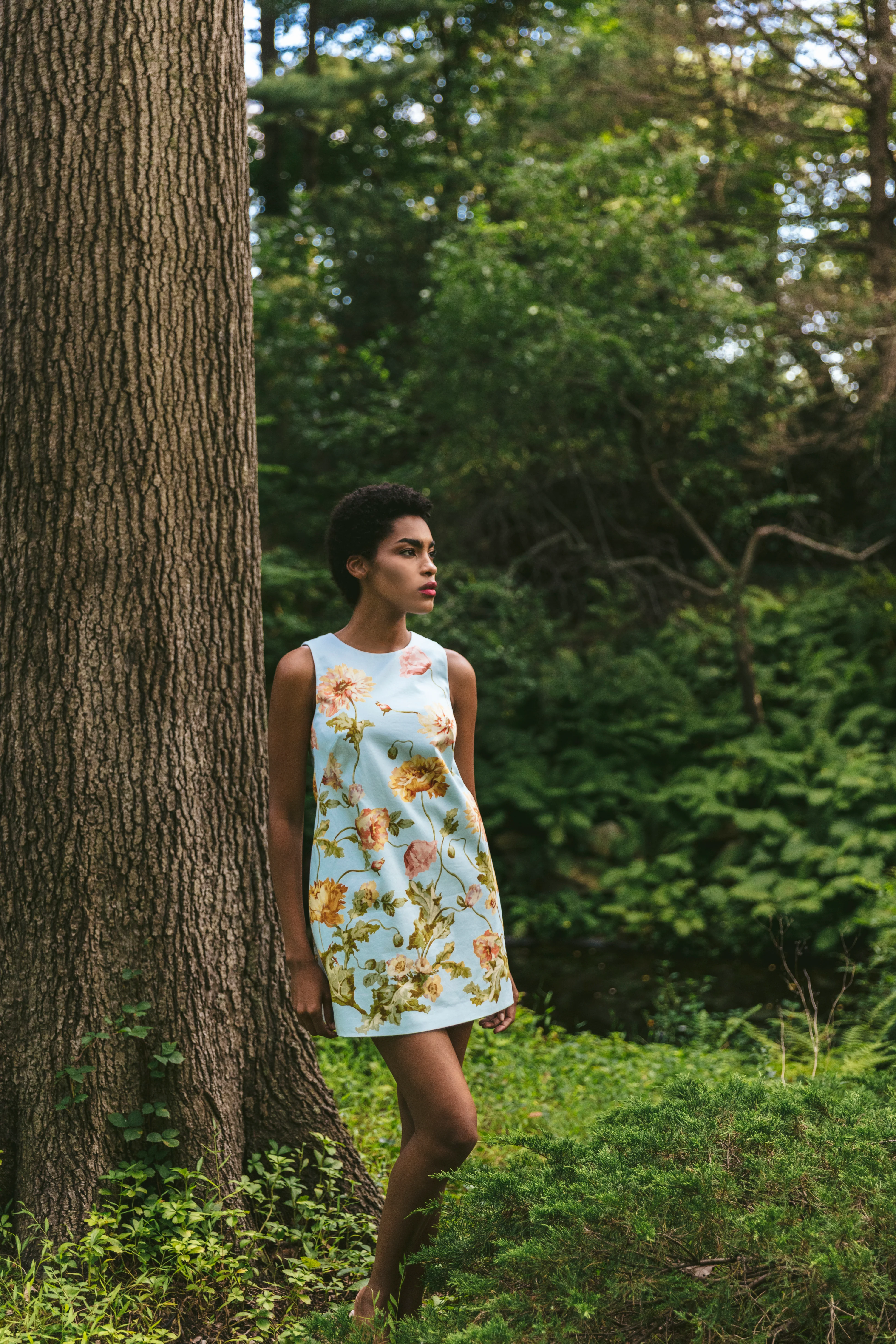 Mackenzie Dress - Image 2